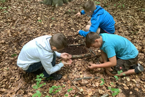 Pädagogischer Waldtag – Naturnahe Erlebnisse im Wald
